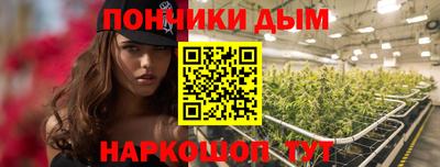 наркотики Камышлов